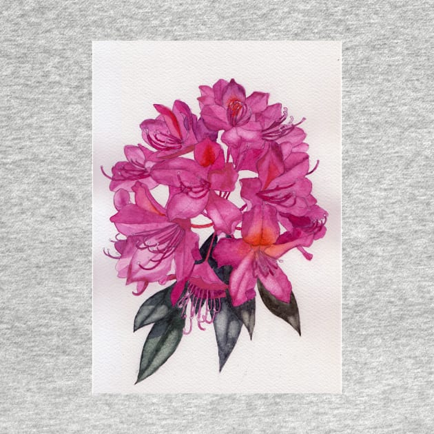 Pink rhododendron watercolour painting by esvb